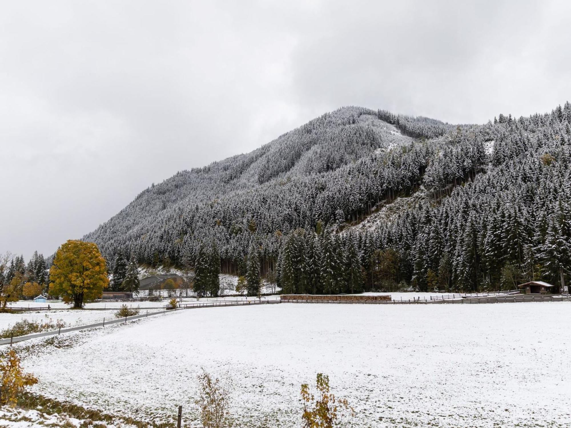 Chalet Apartment In Saalbach Hinterglemm מראה חיצוני תמונה
