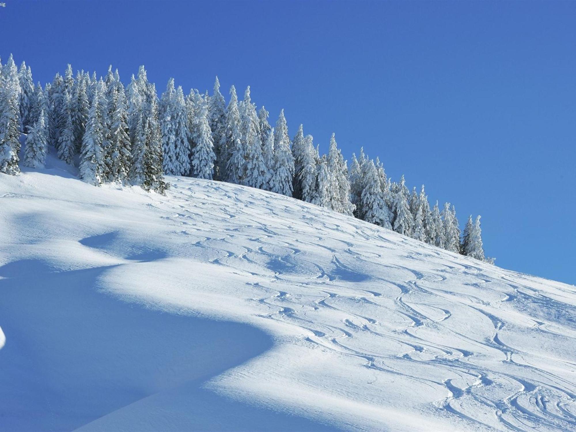Chalet Apartment In Saalbach Hinterglemm מראה חיצוני תמונה